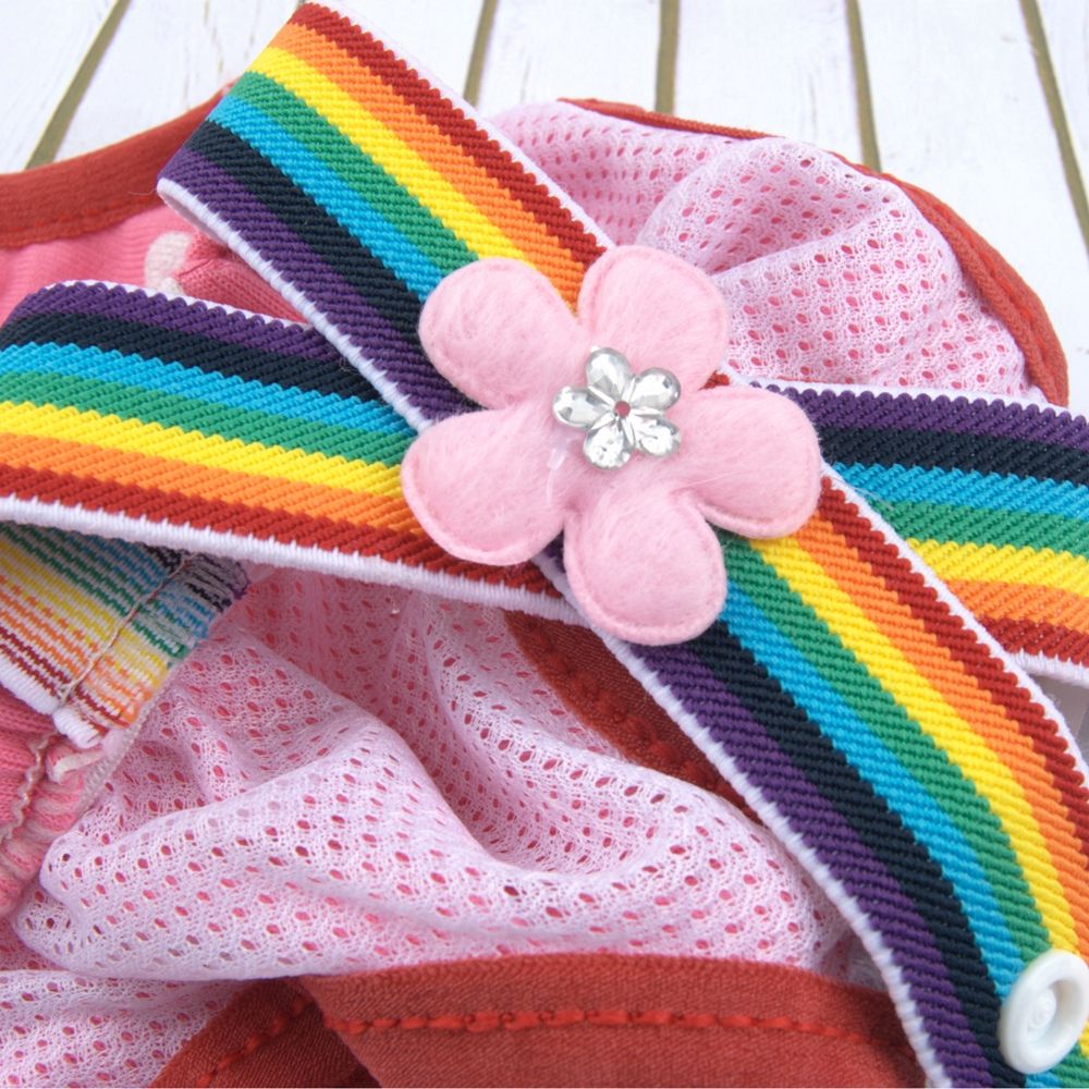 Diapering - Pet Physical Pant Menstruation Briefs Dots