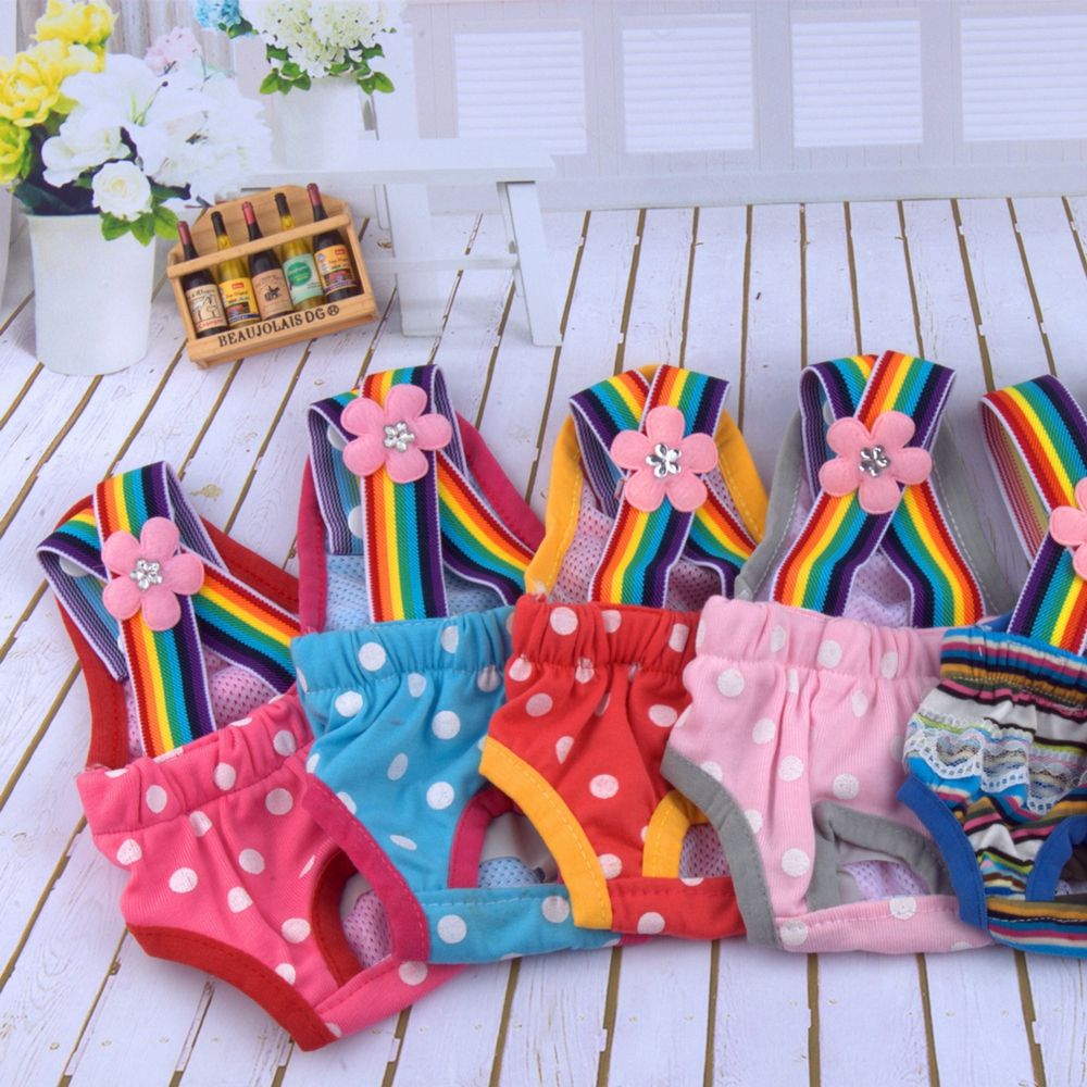 Pet Physical Pant Menstruation - Diapering ulasan dan harga